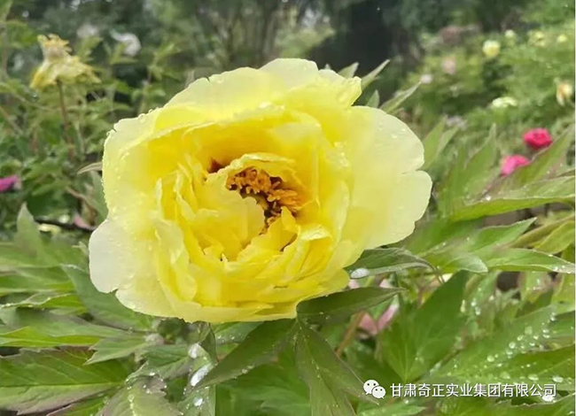 2028体育_网站首页登录注册