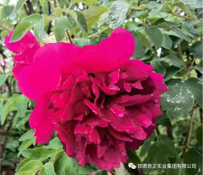 2028体育_网站首页登录注册