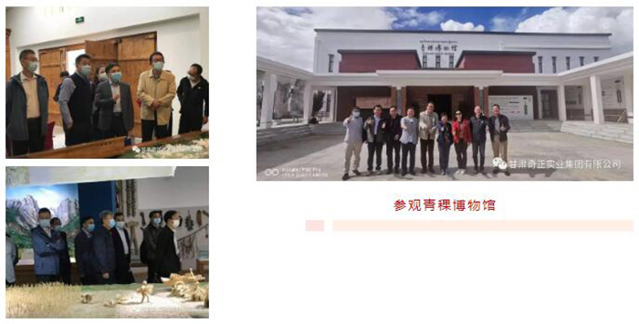 2028体育_网站首页登录注册