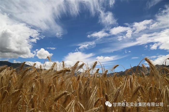 2028体育_网站首页登录注册
