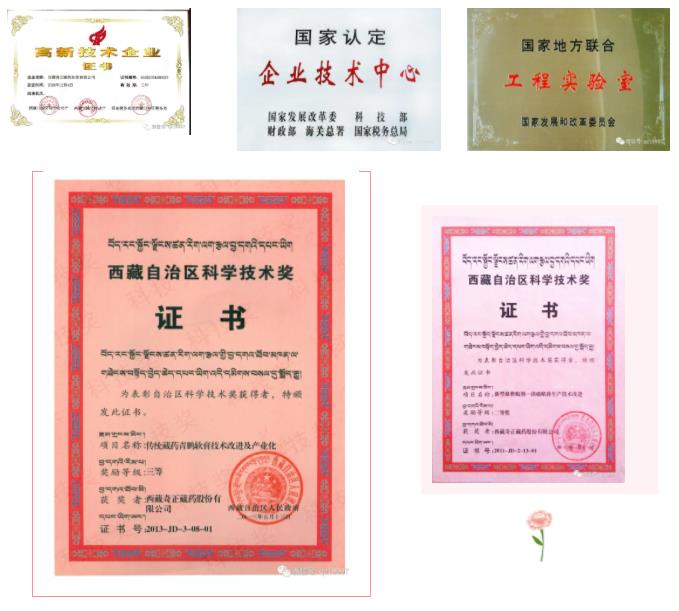 2028体育_网站首页登录注册