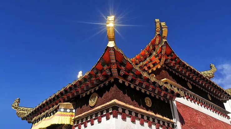 注册实现后请点击提交按钮<br/>
您将获得2028·体育官网赠送的会员礼金券