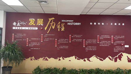 2028·体育官网集团文化墙