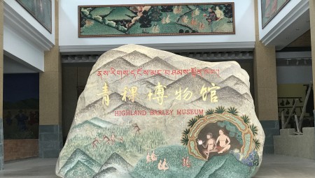 2028·体育官网青稞博物馆