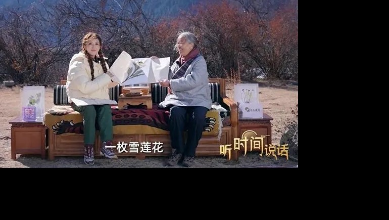 朱迅对话雷菊芳：守护藏医药千年智慧的“行路人”